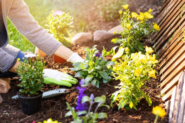 Serviço de jardinagem